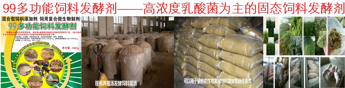 �DƬ3